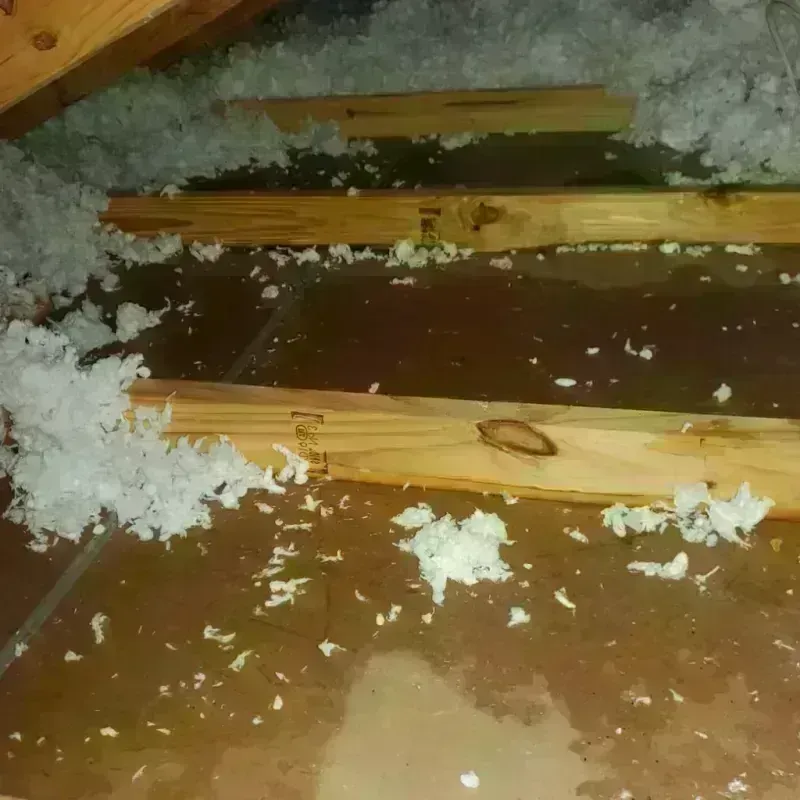 Attic Water Damage in Nevada County, AR