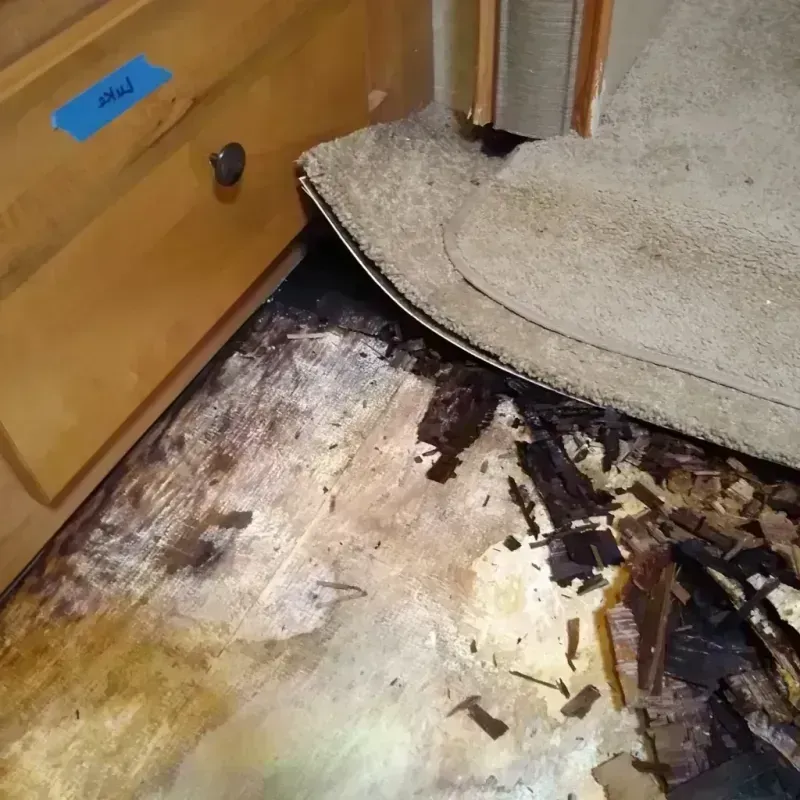 Wood Floor Water Damage in Nevada County, AR